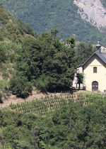 Between vineyards and the Bonne-Nouvelle chapel - JEP 2024