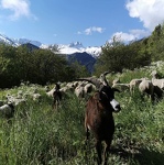 © La Bergerie de l'Etoile - La Bergerie de l'Etoile